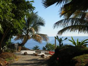 post-1359-018613100 1290990702_thumb.jpg