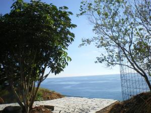 post-1359-025126400 1290990739_thumb.jpg