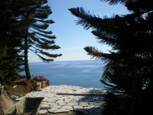 post-1359-041555900 1290989945_thumb.jpg