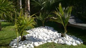 post-3292-032254000 1288694341_thumb.jpg