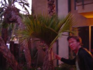 post-27-1228919691_thumb.jpg