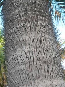 post-37-1230302622_thumb.jpg