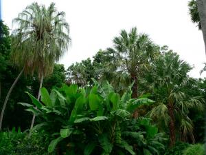 post-42-1229603019_thumb.jpg