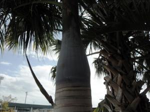 post-1349-1260209418_thumb.jpg