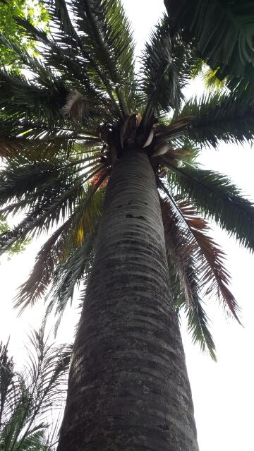 20141117_102637.thumb.jpg.3f17db04520990
