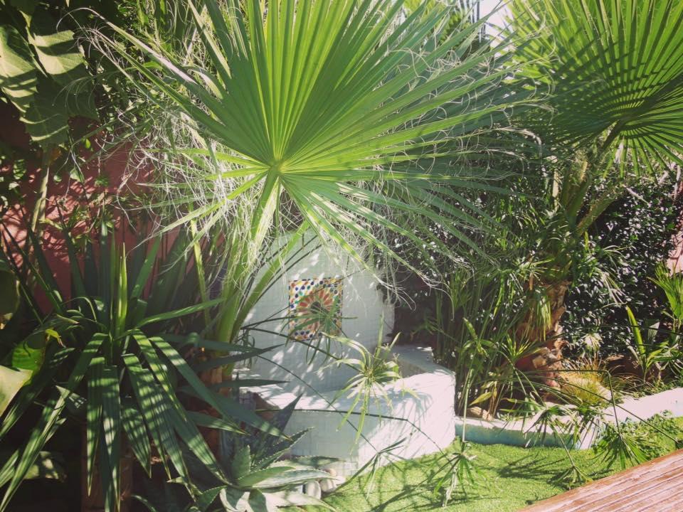 12107281_778159888996443_3087245673614356126_n.jpg