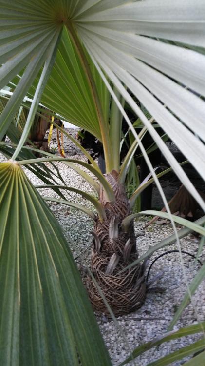 20151023_183559.jpg