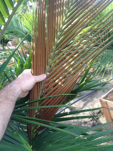 7.thumb.jpeg.7bde3aed973a4c3a4d080852fed