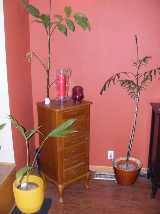 DSCF9760.JPG