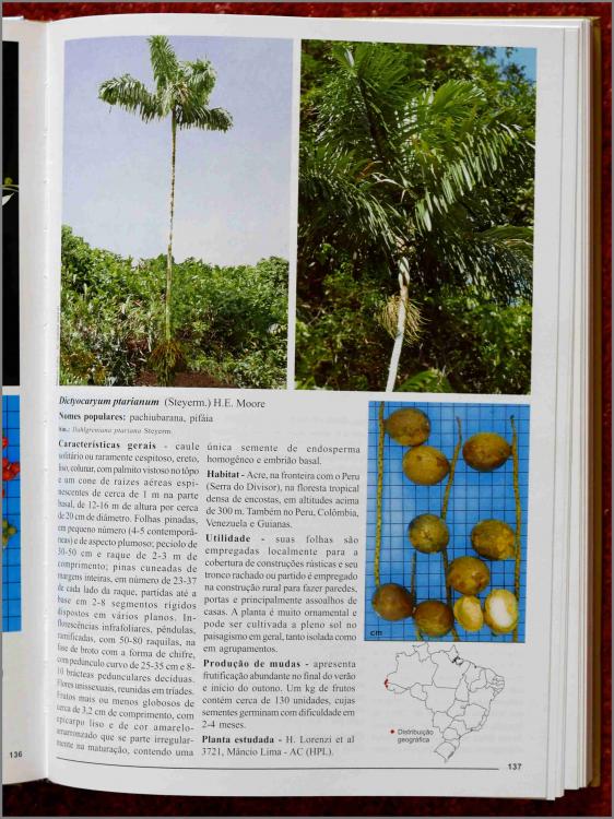 Lorenzi_2004_p137.thumb.jpg.044dd430835a