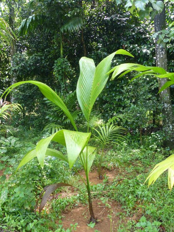 P1230379.thumb.JPG.fdc44319dfa4dfc38d1e7