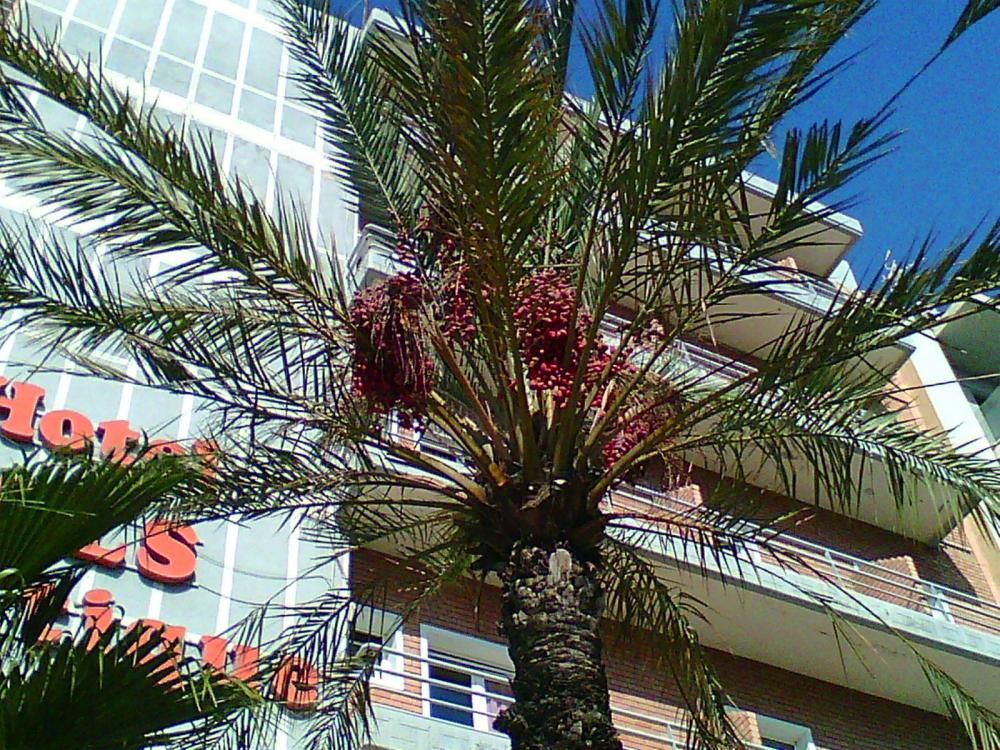 Photo0067.thumb.jpg.aaa984b745b611ed3cbe