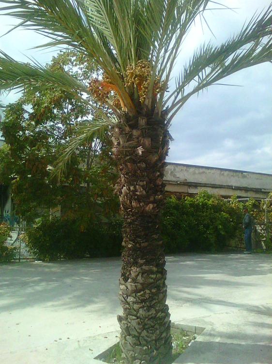 Photo0133.thumb.jpg.35046fb1234f7fc9db2c