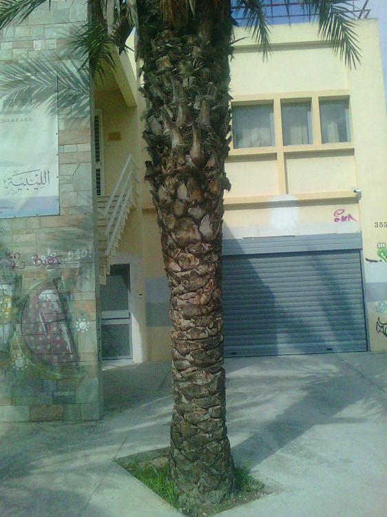 Photo0134.thumb.jpg.74709a59153cc31afecd
