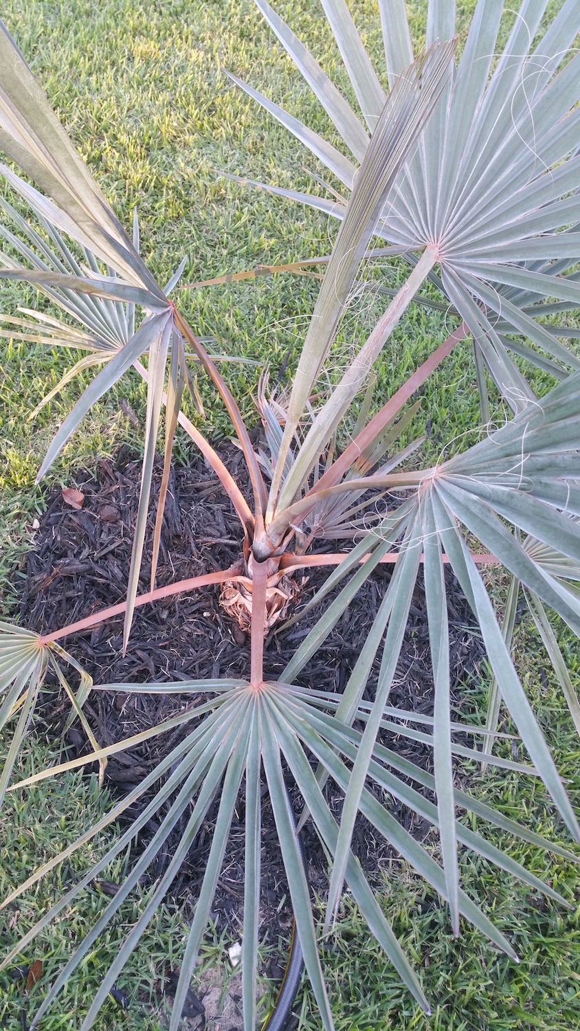 Need Help!!