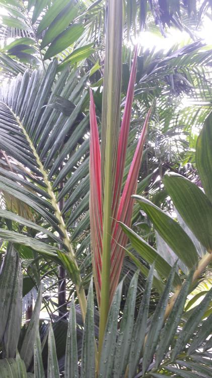 20151121_085523.jpg
