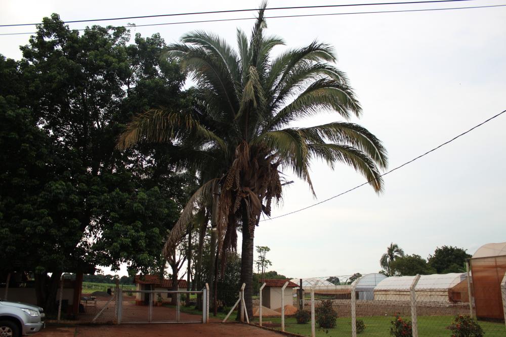 565646fc14600_unesp082.thumb.JPG.f94e410