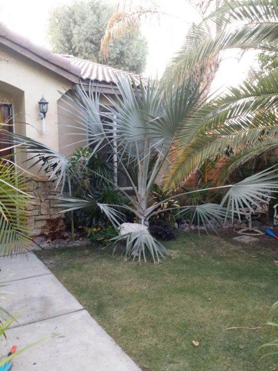 IMG_20150925_11339.thumb.jpg.62d33c08a25