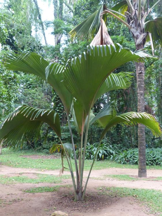 P1010396.thumb.JPG.e306f45f92fa1745acd3e