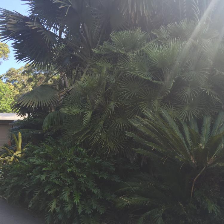 2015-12-03 15.44.08 HDR.jpg