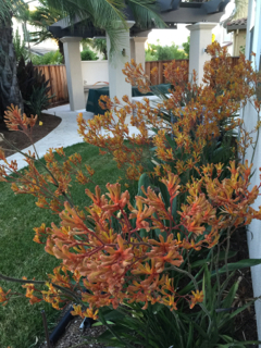 5667464e48fc1_2015color1.jpg.7cad66ebfbe