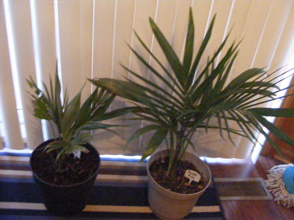 DSCF9819.JPG