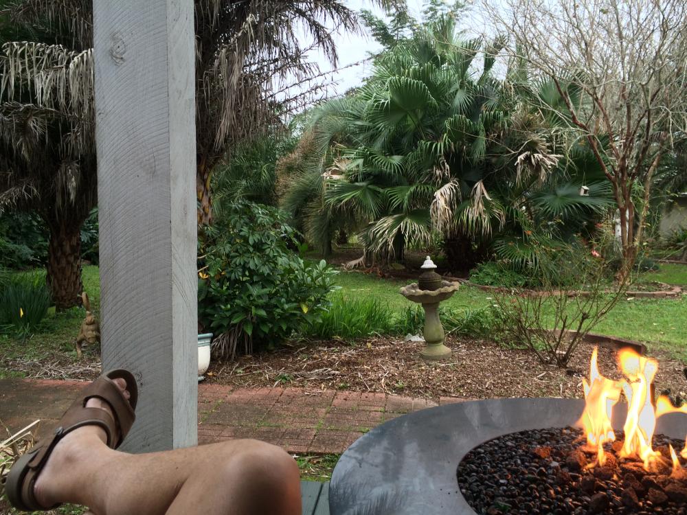 Zone 9a It's not Hawaii DISCUSSING PALM TREES WORLDWIDE PalmTalk