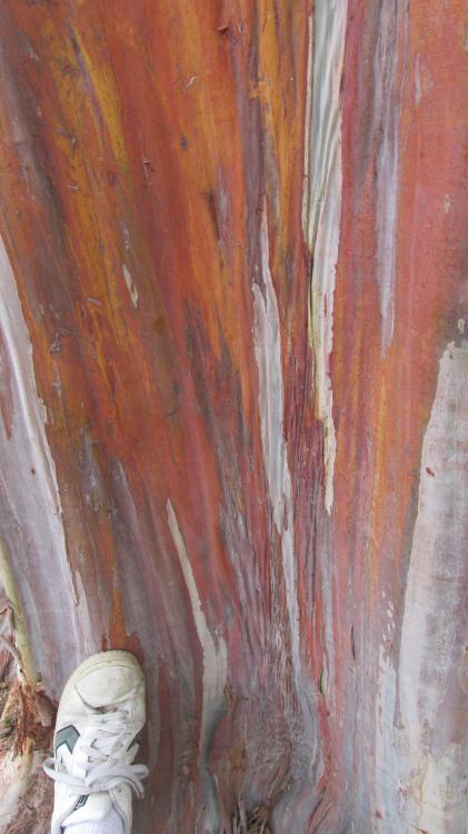 020.thumb.JPG.a00b02e2a6ba951d1134d8f252