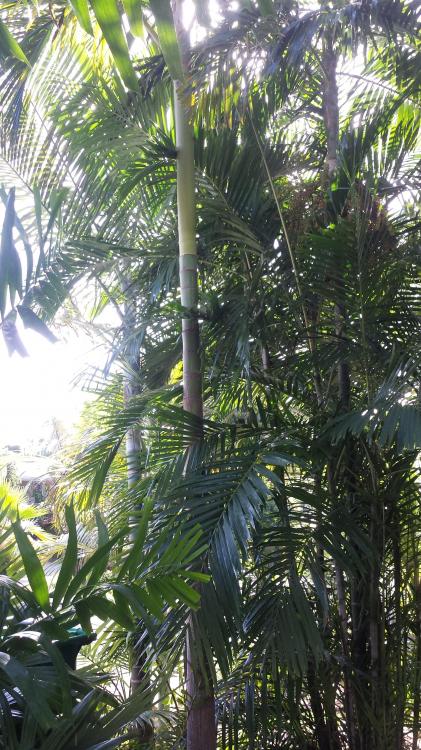 20160123_104727.jpg