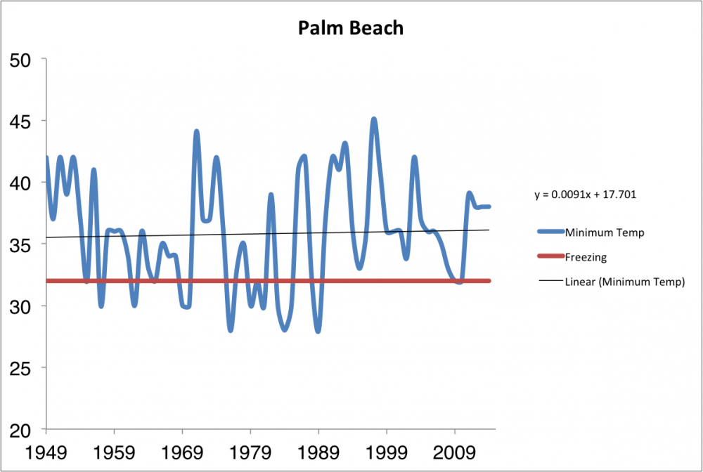 Palm Beach.png