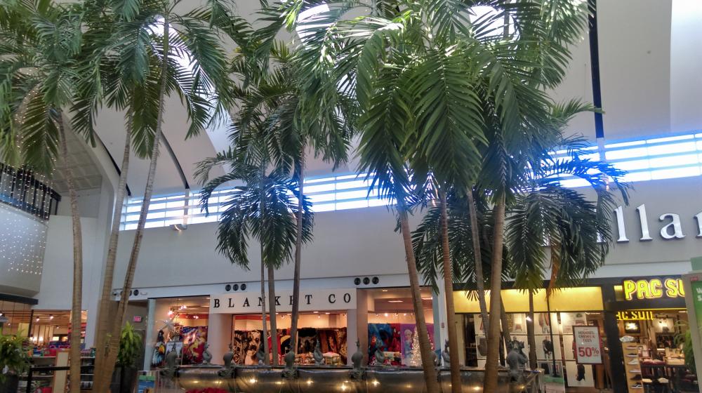 IMAG0927.jpg