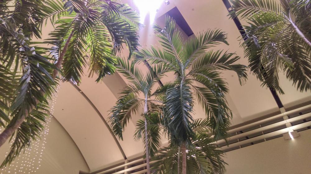 IMAG0972.jpg