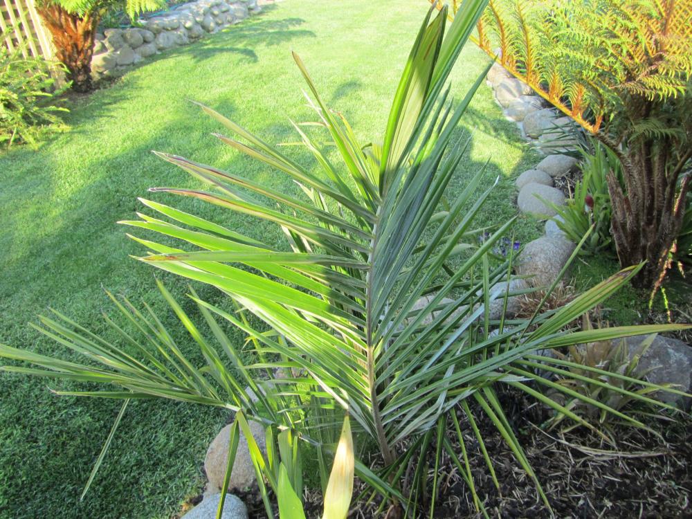 IMG_7613.thumb.JPG.310d2e355cef8aec2db5b