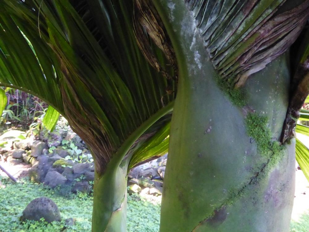 P1000438.jpg