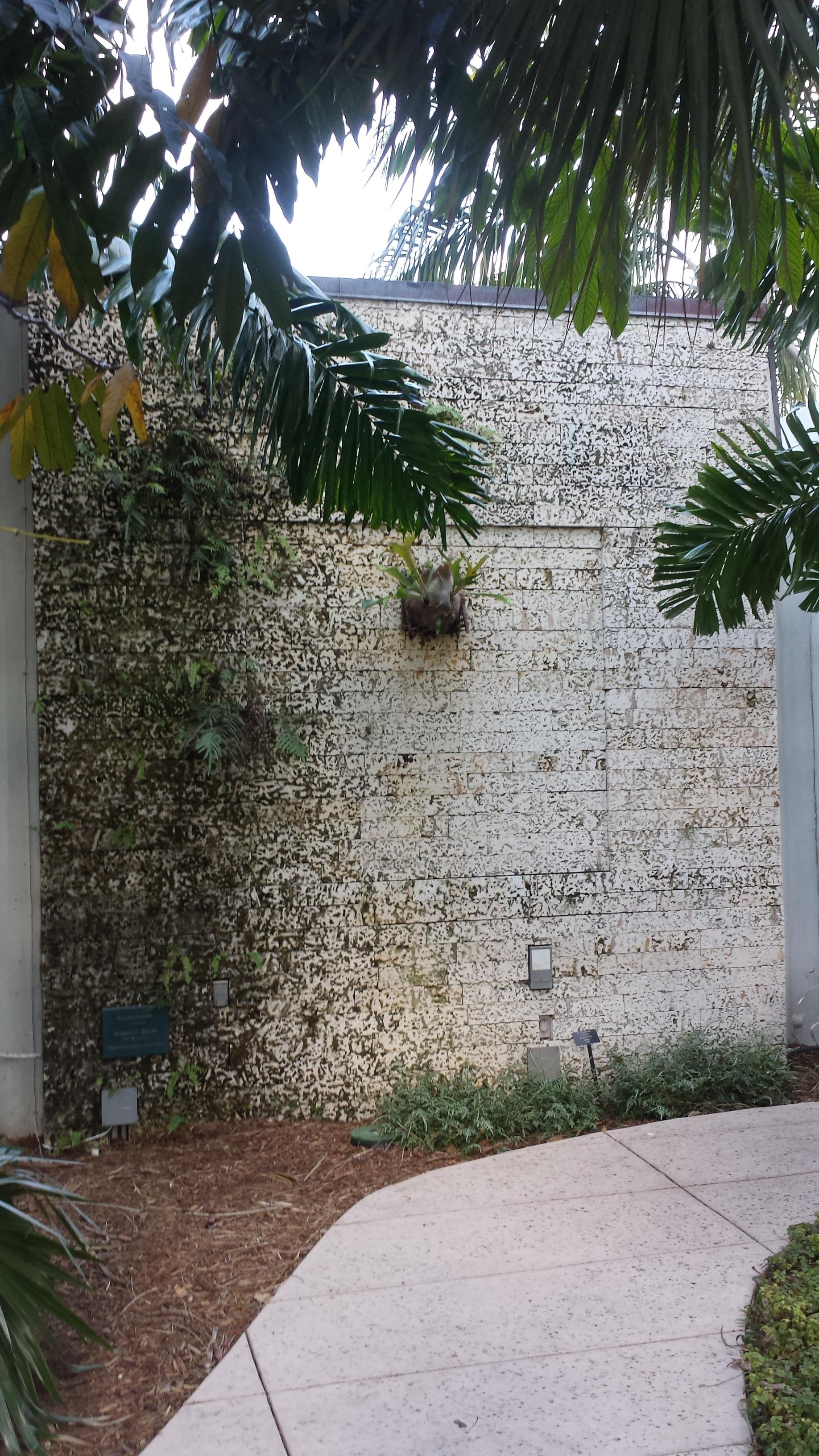 The Living Walls at Miami Beach Botanical Garden.