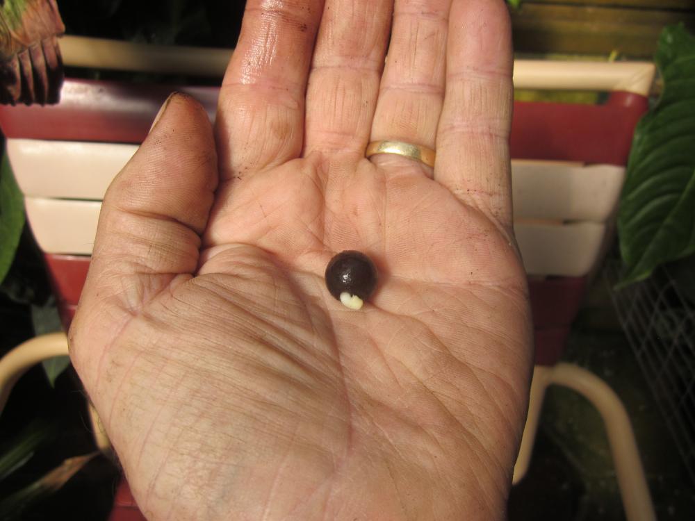 CeroxLaMierde3.JPG