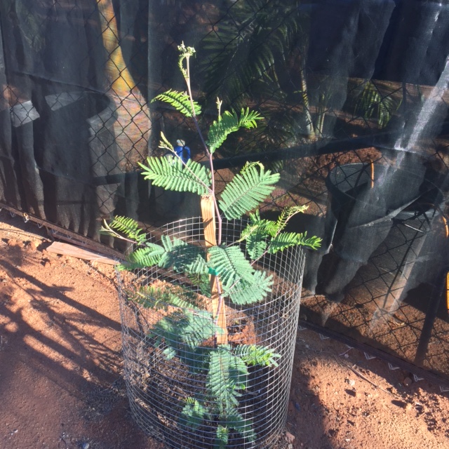 IMG_3312.JPG.d1bef646f03738d8e270d87d54a