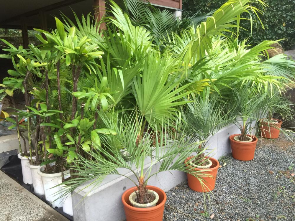 image.thumb.jpg.42688836f48d6bc6548c82e3