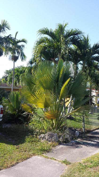 20160316_170713.jpg