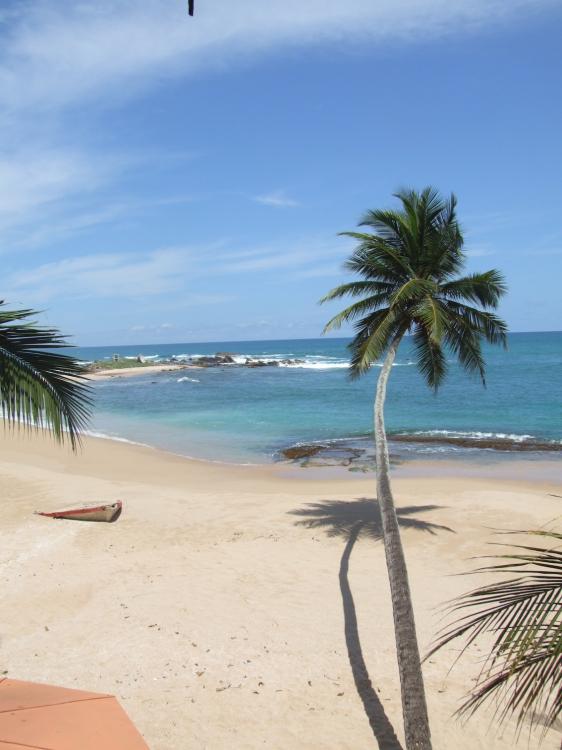 DSCF4420.thumb.JPG.98fd3a908f2dd9d05d26d