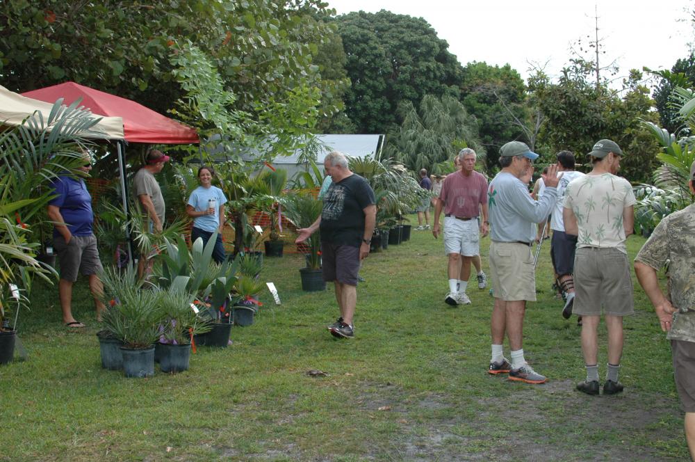 DSC_0732.thumb.JPG.4c8c31646a0c3d2a89926