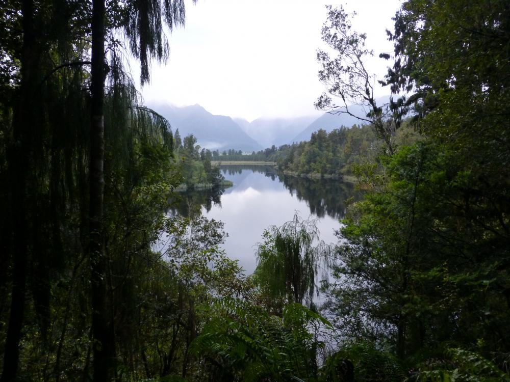 P1000342.jpg