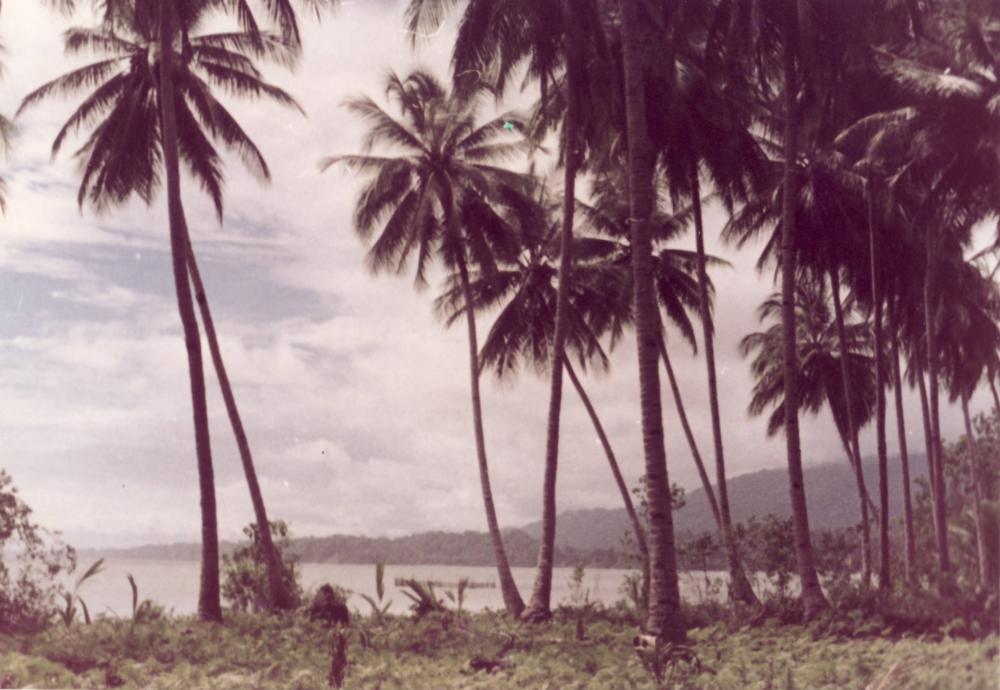 biak0018.JPG