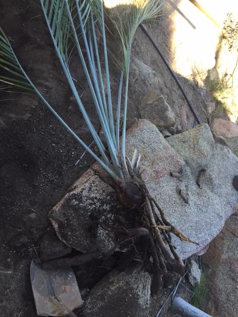 image1.jpeg.64ef7285fe45d7ac9900e98a540b