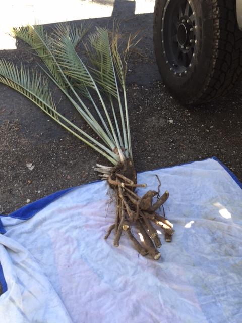 image3.jpeg.3bf5ca92624064754379f2ec17ad