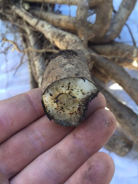 image4.jpeg.2ec696eaead41a7b7af5791e5629