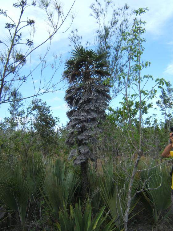 Cuba Trip     5 - 23 - 2014 220.JPG
