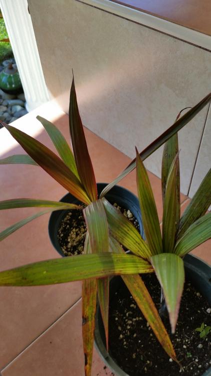 570ab702b973a_2016-04-1016.21.56.thumb.j