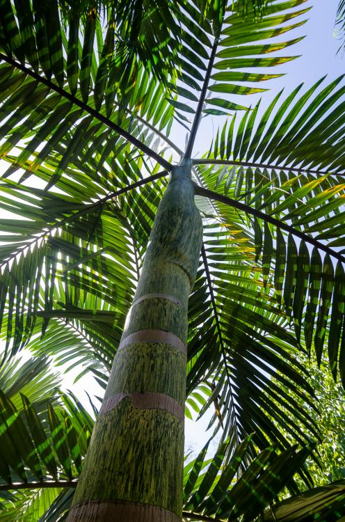 DSC_6411.thumb.jpg.d68447d632afc384c3667