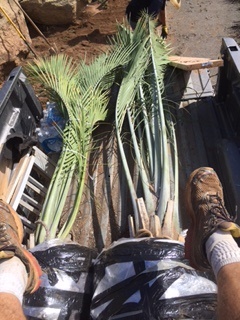 IMG_4351.JPG.d31ea08bf23985e9dda92bd57b3